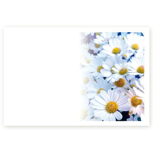 【私製はがき 10枚】多目的絵はがき MUSF-45 ポストカード 風景写真はがき