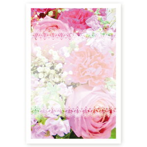 y͂ 10zړIG͂@MUSF-46@|XgJ[h@iʐ^͂
