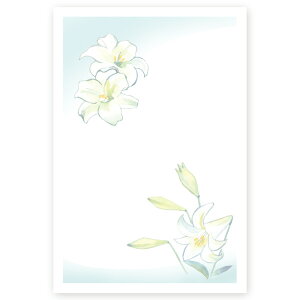 y͂ 10zړIG͂@MUST-01@|XgJ[h@iʐ^͂