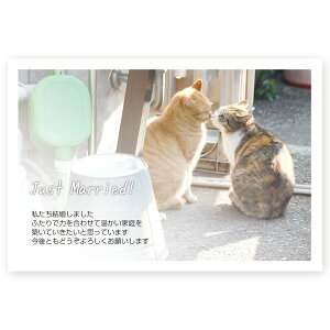 y͂ 10z񍐂͂Em点@WMSF-11@񍐁@t@nKL@ʐ^Ȃ