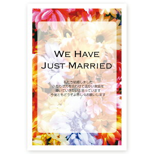 y͂ 10z񍐂͂Em点@WMSF-19@񍐁@t@nKL@ʐ^Ȃ