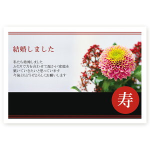 y͂ 5z񍐂͂Em点@WMSF-22@񍐁@t@nKL@ʐ^Ȃ