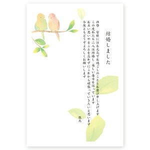 y͂ 10z񍐂͂Em点@WMST-17@񍐁@t@nKL@ʐ^Ȃ