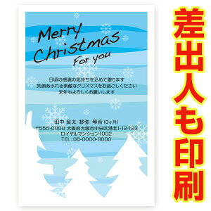 yol 30z NX}XJ[h XS-48 J[h NX}X nKL @XmasJ[h t