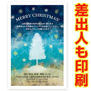 yol 30z NX}XJ[h XS-55 J[h NX}X nKL @XmasJ[h t