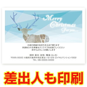 yol 30z NX}XJ[h XSA-22 J[h NX}X nKL @XmasJ[h t