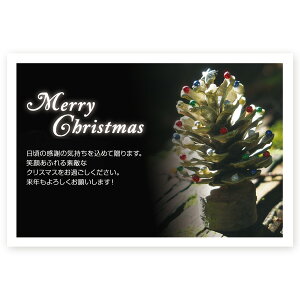 y͂ 10zNX}XJ[h@XSF-03@J[h NX}X nKL @XmasJ[h t