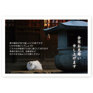 y͂ 10z]͂E]nKL@YSF-11@]@]@t