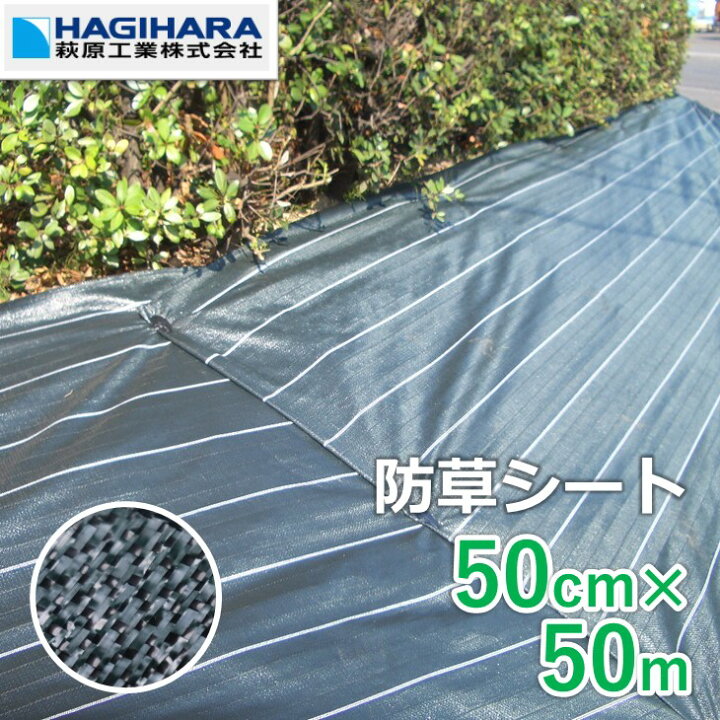 楽天市場 P5倍sale中 3年耐候 防草シート 50cm 50m グランドバリアクロス 3 Odグリーン ブラック 透水 Gbc 3 遮光 草防止 雑草対策 農業資材 ガーデニング 家庭菜園 庭 ハウス 雑草シート 園芸資材 芝生 防草 太陽光現場 砂利下 人工芝 T 0 5mm 114g M2 シート