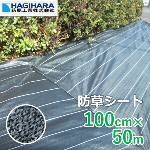 _288:59܂ 5{|Cg 31Ԍ^yr[Ńv[gzYhV[g 1m×50m [5{Zbg] 3Nό OhoANX-3 ODO[ |  GBC-3 Ռ h~ G΍ _