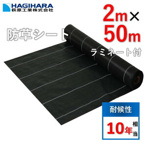 _288:59܂ 5{|Cg 31Ԍ^yr[Ńv[gzYhV[g 2m×50m [5{Zbg] 10Nό OhoANX-10 ~l[gt | ubN GBC-10 Ζ Ռ h~ 