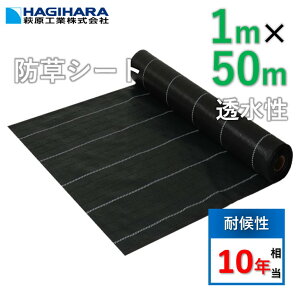 yr[Ńv[gzYhV[g 1m×50m [5{Zbg] 10Nό OhoANX-10 ^Cv | ubN GBC-10  Ռ h~ G΍ _Ǝ GV[g | Ő 