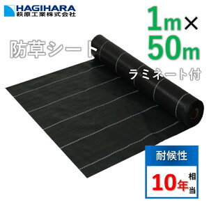 _12/1 10{E20{|Cg_tf[3{ vGg[^yr[Ńv[gzYhV[g 1m×50m [5{Zbg] 10Nό OhoANX-10 ~l[gt | ubN GB