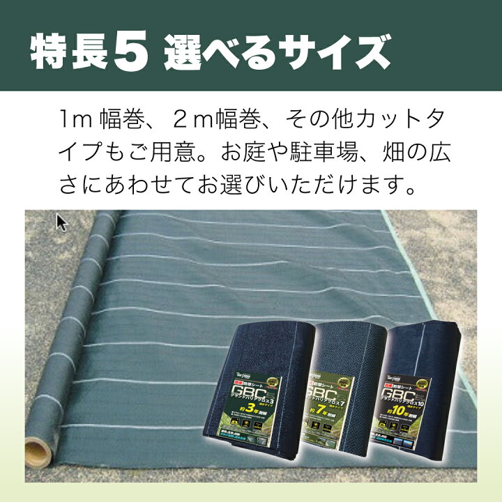 楽天市場】＼4/15限定 抽選で100%ポイントバック&ポイント5倍 4/14 20 
