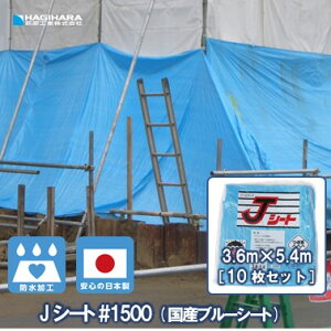 �_5/20���� ���I��100%�|�C���g�o�b�N&0�̂���4�{P�^�y�����H�� �����z J�V�[�g #1500 3.6m×5.4m [10���Z�b�g] | �u���[�V�[�g ���{�� �{���V�[�g �h�� �y�� ����^�C�v ���z���� �y�؎��� ���z�{��