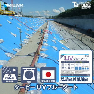 _11/15 I100%PobN5{|Cg yVC[OXӍՁ^yH z ^[s[ UVu[V[g 2.7m×3.6m | { y h { 䕗 ЊQ h ~  J悯 ΍ 