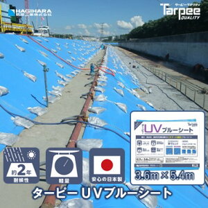 yH z ^[s[ UVu[V[g 3.6m×5.4m | { y h { 䕗 ЊQ h ~  J悯 ΍ 悯 Jo[ W[ AEghA 3.6×5.4