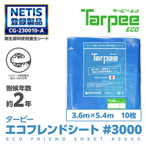 _Gg[P15{I100%PobN 25^yH z GRthV[g #3000 3.6m×5.4m [10] | Zbg̔ u[V[g {  h { 䕗 ЊQ h ~  J