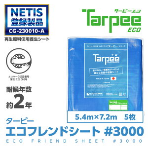 yH z GRthV[g #3000 5.4m×7.2m [5] | Zbg̔ u[V[g {  h { 䕗 ЊQ h ~  J悯 悯 悯 Jo[ Y 5.4×7.2