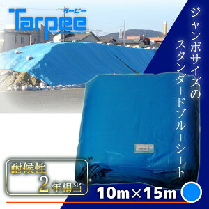 _288:59܂ 5{|Cg 31Ԍ^yH z^[s[ thV[g#3000 10m×15m b TCY  h 唻 傫TCY OEh O J悯 W{V[g {