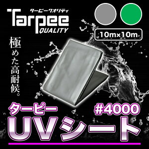 yH z^[s[ UVV[g #4000 10m×10m | S2F Vo[ O[ {   UVܓ u[V[g J[ J悯 Jo[ h 䕗 h  Y 10×10