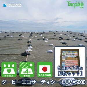 _11/15 I100%PobN5{|Cg yVC[OXӍՁ^yH z^[s[ GRT[eBV[gUV#5000 5.4m×7.2m [3Zbg] ODO[ | { UVG-5472  UVܓ u[