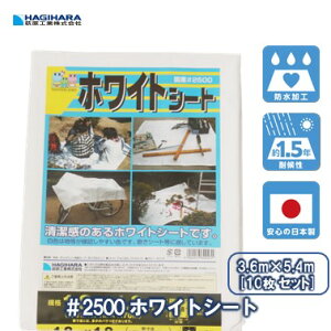 _X[p[SALE I300%|CgobN^yH z #2500 zCgV[g 3.6m×5.4m [10Zbg] OS3654W | {   u[V[g J[  J悯 悯 Jo[ _