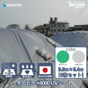 _11/1 20{|Cg_tf[3{ vGg[^yH z^[s[ UVV[g #4000 3.6m×5.4m [8Zbg] Vo[ | {   UVܓ u[V[g J[ J悯