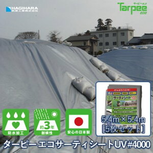 _1310:00~ ő41{|Cg |CgobNՁ^yH z^[s[ GRT[eBV[gUV#4000 5.4m×5.4m [5Zbg] Vo[ | { ECO4000SI5454  UVܓ u[V[g J[ 