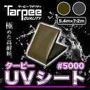 ＼ポイント最大22倍 超ポイントバック祭は7/13(日)10時〜／【受注生産】ターピー UVシート #5000 5.4m×7.2m | 全2色 ODグリーン メタリックシルバー 超厚手 長持ち UV剤入 ブルーシート カラー 雨よけ カバー 防水 台風 防災 屋根 国産 日本製 5.4×7.2