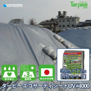 _11/1 20{|Cg_tf[3{ vGg[^yH z^[s[ GRT[eBV[gUV#4000 5.4m×7.2m[4Zbg] Vo[ | { ECO4000SI5472  UVܓ u[V[g