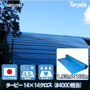 _11/1 20{|Cg_tf[3{ vGg[^yH zy󒍐Yz 14×14NX #4000 1.83m×100m | u[V[g [  {  h { J悯 