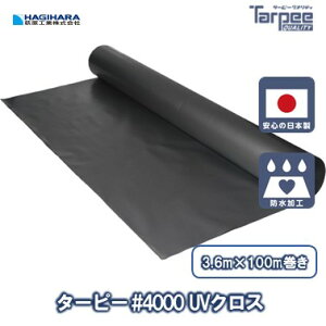 y@llz^[s[ #4000 UVNX 3.6m×100m Vo[ | {   UVܓ u[V[g [ J[ J悯 悯 Jo[ h 䕗 h  Y 3600