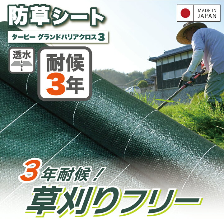 楽天市場】＼4/15限定 抽選で100%ポイントバック&ポイント5倍 4/14 20 