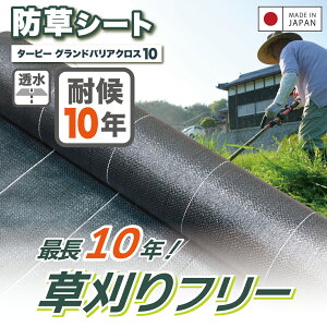 _24h I100%|CgobN 11/10^yr[Ńv[gzYhV[g 10Nό OhoANX-10ubN | 1m 2m 3m i hV[g GBC-10 Ռ Gh~