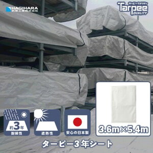 _11/1 20{|Cg_tf[3{ vGg[^yH z3NV[g 3.6m×5.4m zCg | 3654 Y {  ՔM W[V[g 悯 ی dグ y y؍H