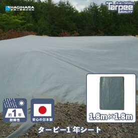 【萩原工業 公式】1年シート 1.8m×1.8m スマートグレー | 1818 グレー 灰 日本製 国産 養生 養生用シート レジャーシート 防水 軽量 壁面養生 カバー 実寸仕上げ 土木工事 工事現場