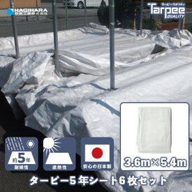 【萩原工業 公式】5年シート 3.6m×5.4m 3654 [6枚] | まとめ売り 国産 日本製 ホワイト シルバー 白 銀 カラー 遮熱効果 日よけ 高耐候 養生 養生用シート 土木工事 工事現場 壁面養生 防水