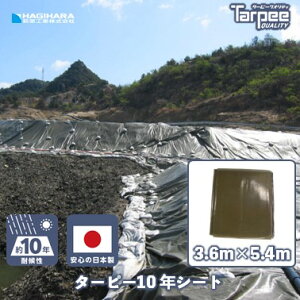 _11/15 I100%PobN5{|Cg yVC[OXӍՁ^y󒍐Yz^[s[10NV[g 3.6m×5.4m ODO[ | {  UVܓ u[V[g J[ J悯 悯 Jo[ h