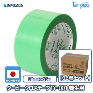 yH z^[s[NXe[v TY-001 {p 38mm×25m O[ TY001-3825 [36Zbg] | {e[v  ؂ Ɩp h DIY  ~ Œ }XLO 䕗 KX