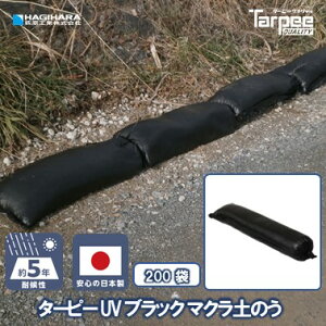 _11/1 20{|Cg_tf[3{ vGg[^yH z ^[s[ UV ubN }N ŷ 5Nό [200] | { 25cm×90cm ŷ yX K Ђt 䕗 ЊQ 