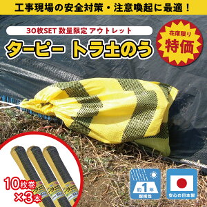 yH zAEgbg ^[s[ gŷ 1Nό [30] | { 48cm×62cm ŷ yX K Ђt 䕗 ЊQ h Z Q y J y H S΍ PE Y F