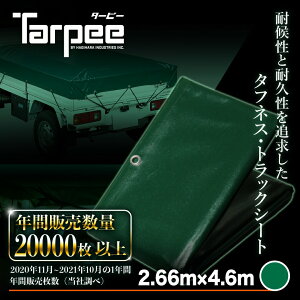 _11/1 20{|Cg_tf[3{ vGg[^yH zGXez gbNV[g O[ H-4 2.66m×4.6m | 3t 2tO gbN בV[g בJo[ Soh