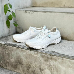 Gabor K{[ Rolling Soft Xj[J[ fB[X  {v EH[LOV[Y lCr[ zCg 66978 fB[XV[Y ₷ Xj[J[ uh  C   wlC W