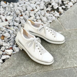 Gabor K{[ VvU[Xj[J[ fB[X  {v 3E EH[LOV[Y zCg 66458 fB[XV[Y ₷ Xj[J[ uh  C   wlC WOM