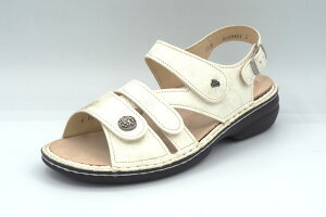 tBRtH[g EH[LOV[Y fB[X {v v }WbNxg T_ S[h u[ 2562 GOMERA fB[XV[Y ₷ [OT_ uh C  