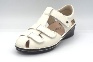 tBRtH[g EH[LOV[Y fB[X {v v }WbNxg T_ uE ubN 2666@FUNEN fB[XV[Y ₷ [OT_ uh 