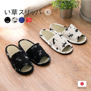 y9/10ʌz20%N[|聚 Xbp 26cm`28cm LTCY ɂ  { lR L   Xbp 炳 ƂSn tbg 킢 