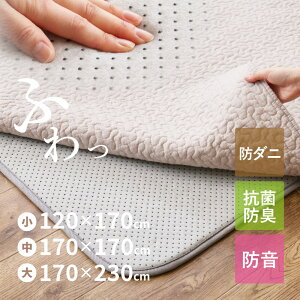 N[|ōő10%OFF11/4` Ỏɕ~O A_[O O ~y1/2/3zy120×170cm/170×170cm/170×230cmz ʊ~ߕt E^ h h_j R zbgJ[