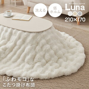 10/10聚|Cg5{ zc rbgt@[^b` iy210×170cmzyȉ~`zR^c|zc n tln  | x[W AC{[ O[ 킢 